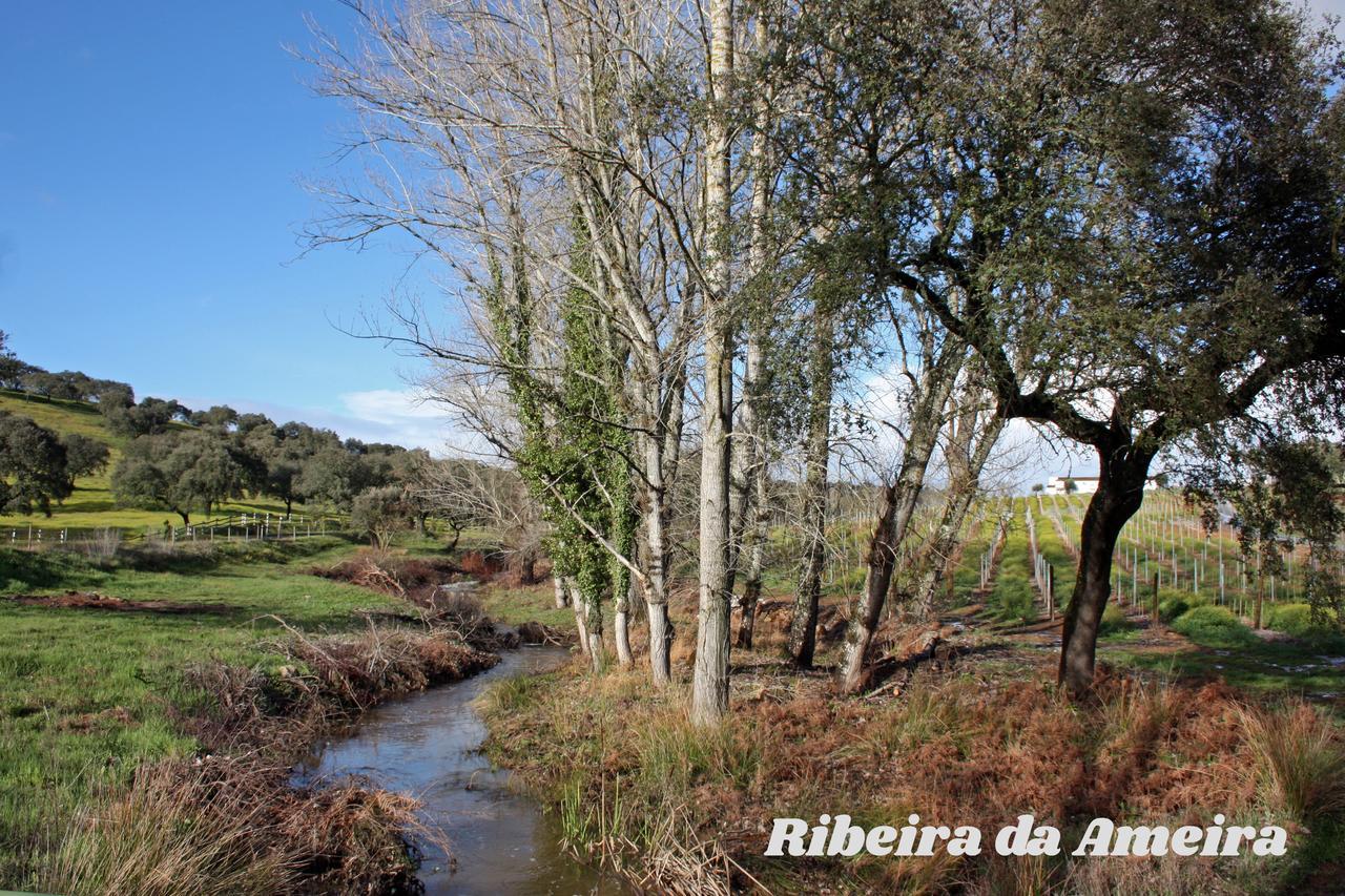 Hotel Rural Da Ameira Montemor-o-Novo Luaran gambar