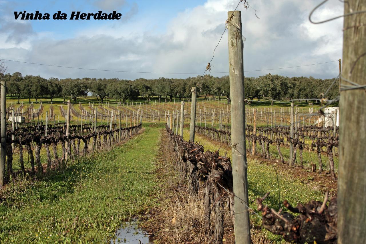 Hotel Rural Da Ameira Montemor-o-Novo Luaran gambar